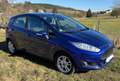 Ford Fiesta Celebration - thumbnail 1