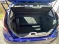 Ford Fiesta Celebration - thumbnail 14