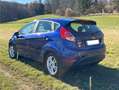 Ford Fiesta Celebration - thumbnail 4