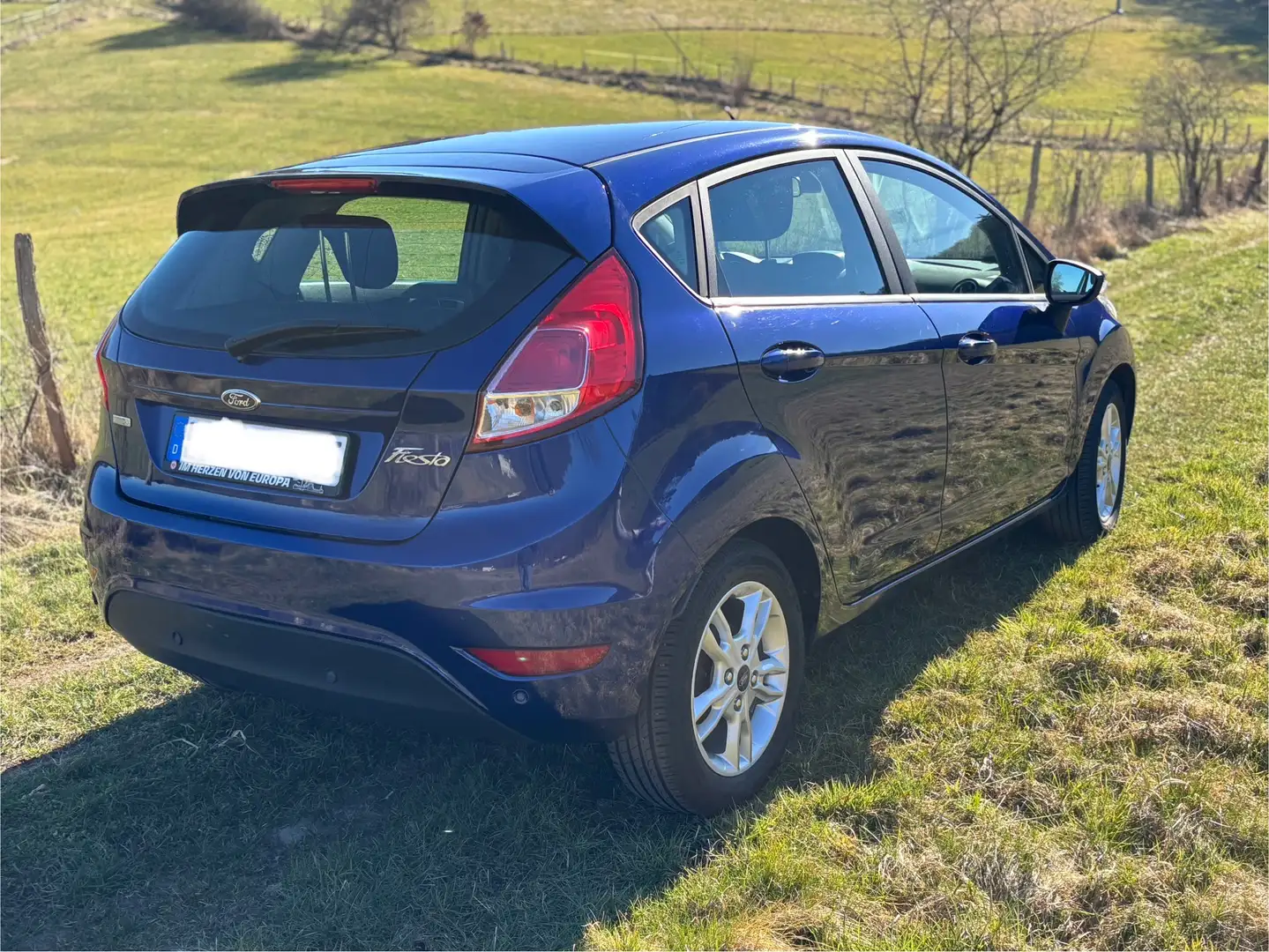 Ford Fiesta Celebration - 2