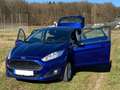 Ford Fiesta Celebration - thumbnail 6