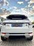 Land Rover Range Rover Evoque Range Rover Evoque 5p 2.2 sd4 Prestige 190cv Bianco - thumbnail 6