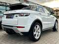 Land Rover Range Rover Evoque Range Rover Evoque 5p 2.2 sd4 Prestige 190cv Bianco - thumbnail 5