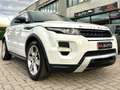 Land Rover Range Rover Evoque Range Rover Evoque 5p 2.2 sd4 Prestige 190cv Bianco - thumbnail 2