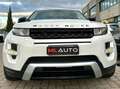 Land Rover Range Rover Evoque Range Rover Evoque 5p 2.2 sd4 Prestige 190cv Bianco - thumbnail 3