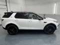 Land Rover Discovery Sport 2,0 SD4 4WD SE Aut.* SOFORT FINANZIERUNG & EINT... Weiß - thumbnail 6