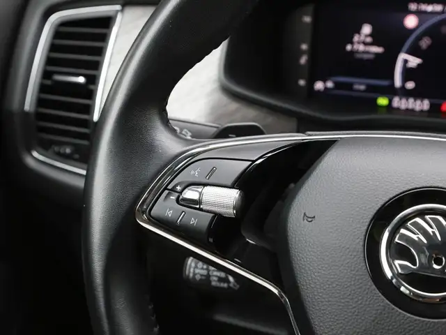 Skoda Kodiaq view 18