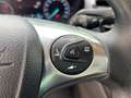 Ford Tourneo Connect 1.5 TDCi Titanium AHZV/Pano/Xenon Bleu - thumbnail 14