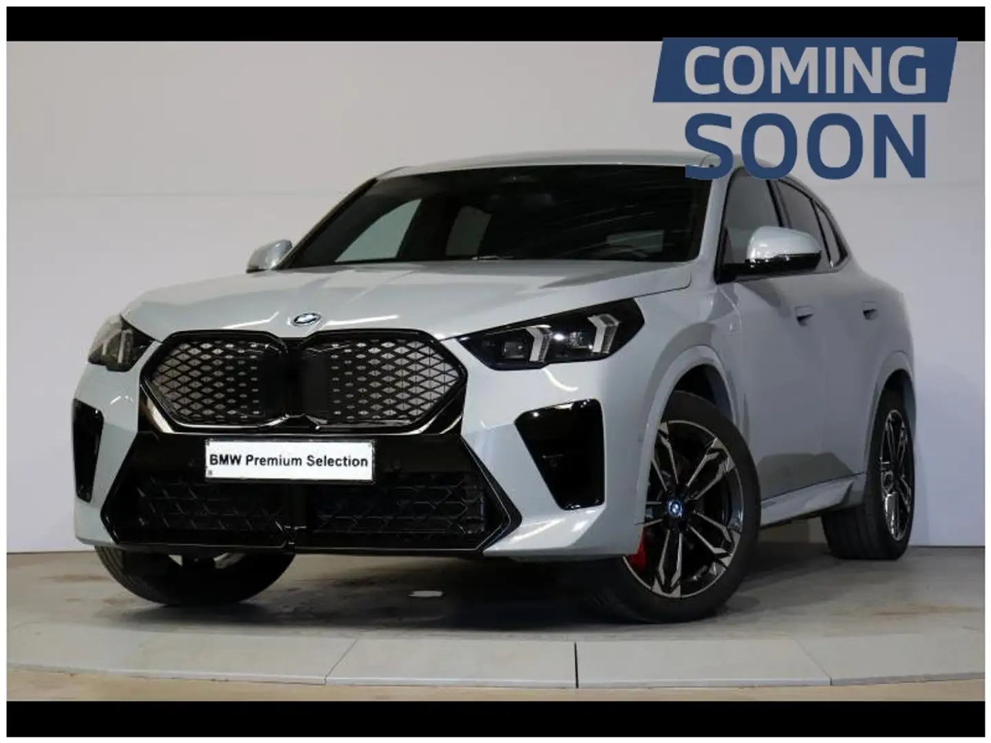 BMW iX2 eDrive20 Kit M Sport Gris - 1