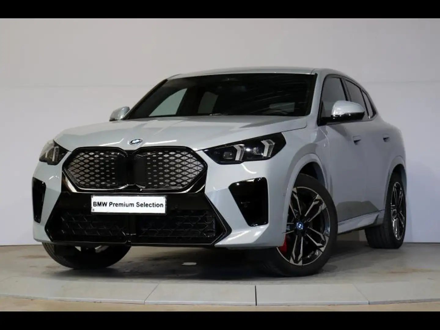 BMW iX2 eDrive20 Kit M Sport Gris - 2
