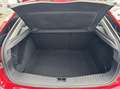 Ford Focus 1.6-16V Futura Automaat Cruisecontrol Airco Rouge - thumbnail 6