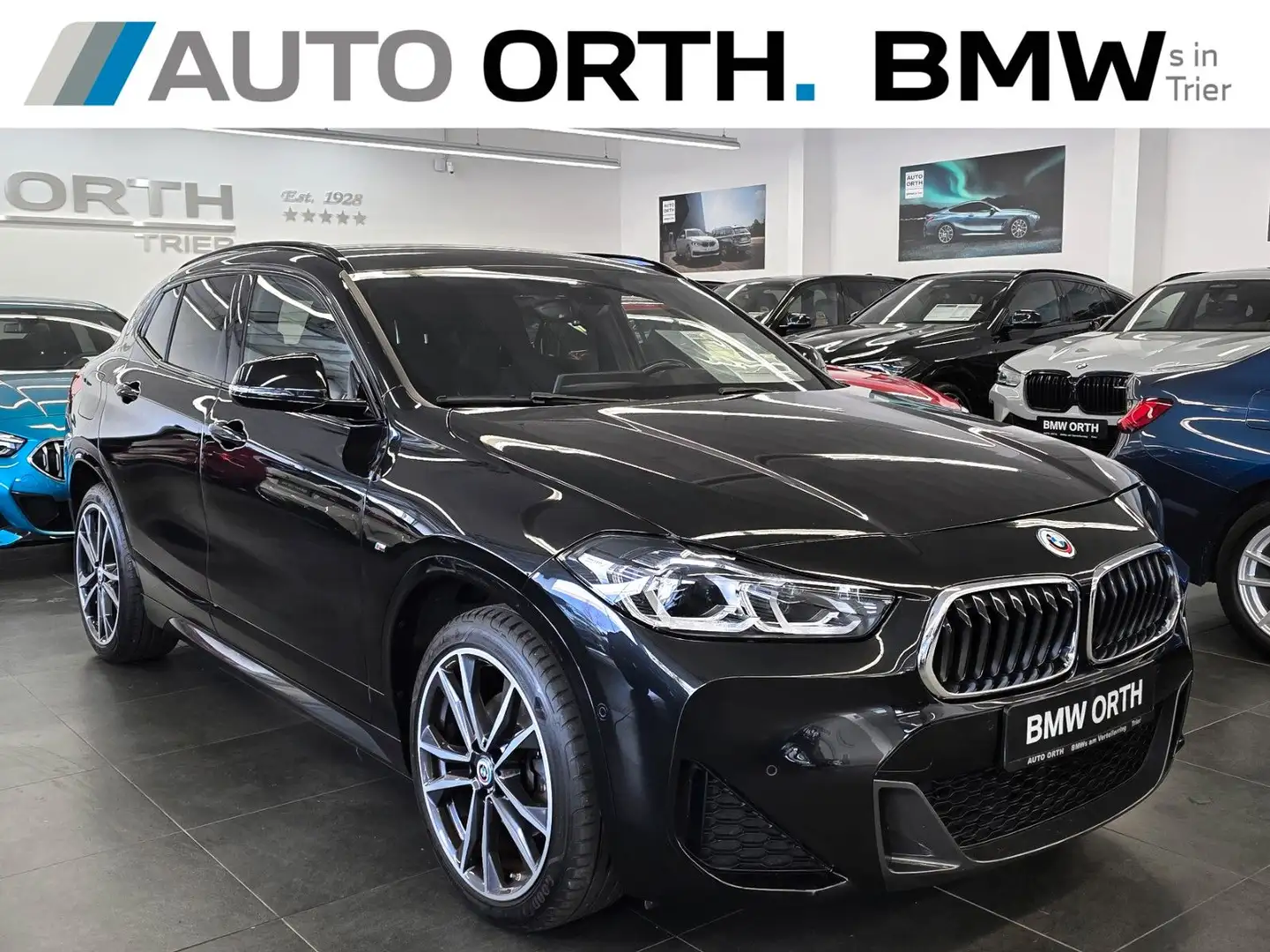 BMW X2 sDrive18d M-SPORT NAVI+ HUD KAMERA HIFI 19" Schwarz - 1