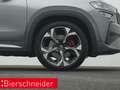 Skoda Kodiaq 2.0 TSI DSG 4x4 RS PANO AHK 360 eHECK HuD Gris - thumbnail 29