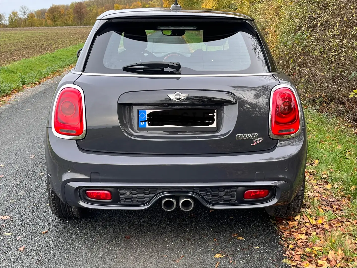 MINI Cooper S Cooper SD LED*KAMERA*PANO*Soundsystem Grau - 2