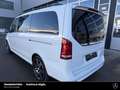 Mercedes-Benz V 300 V 300 L 4MATIC EXCLUSIVE AMG AIRMATIC PANORAMA 4m Weiß - thumbnail 13