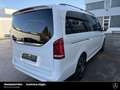Mercedes-Benz V 300 V 300 L 4MATIC EXCLUSIVE AMG AIRMATIC PANORAMA 4m Weiß - thumbnail 12