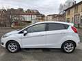 Ford Fiesta 5p 1.5 tdci Black&White 75cv - thumbnail 9