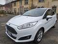 Ford Fiesta 5p 1.5 tdci Black&White 75cv - thumbnail 1