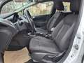 Ford Fiesta 5p 1.5 tdci Black&White 75cv - thumbnail 13