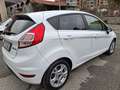 Ford Fiesta 5p 1.5 tdci Black&White 75cv - thumbnail 6