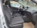Ford Fiesta 5p 1.5 tdci Black&White 75cv - thumbnail 10