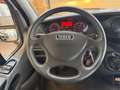 Iveco Daily 33S11V 2.3 /FRIGORIFERO//2027 Weiß - thumbnail 10