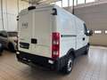 Iveco Daily 33S11V 2.3 /FRIGORIFERO//2027 Weiß - thumbnail 6