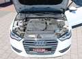 Audi A3 Automatik 1,6 TDI 110 PS S-Tronic Blanc - thumbnail 11