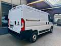Fiat Ducato 2.3 D L1H1 130 KLIMA 3-SITZE SERVO 3,0t Weiß - thumbnail 10