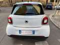 smart forFour Forfour II 2015 1.0 Youngster 71cv my18 Blanc - thumbnail 7