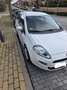 Fiat Punto Punto 1.3Mjt Pop E5  Pop Blanco - thumbnail 4