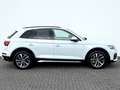 Audi Q5 40 TDI quattro S line Sport Plus Paket Blanc - thumbnail 4