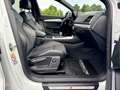 Audi Q5 40 TDI quattro S line Sport Plus Paket Blanc - thumbnail 13