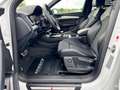 Audi Q5 40 TDI quattro S line Sport Plus Paket Blanc - thumbnail 9