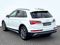 Audi Q5 40 TDI quattro S line Sport Plus Paket Blanc - thumbnail 7
