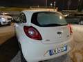 Ford Ka/Ka+ Ka 1.3 TDCi 75CV cDPF Blanco - thumbnail 3