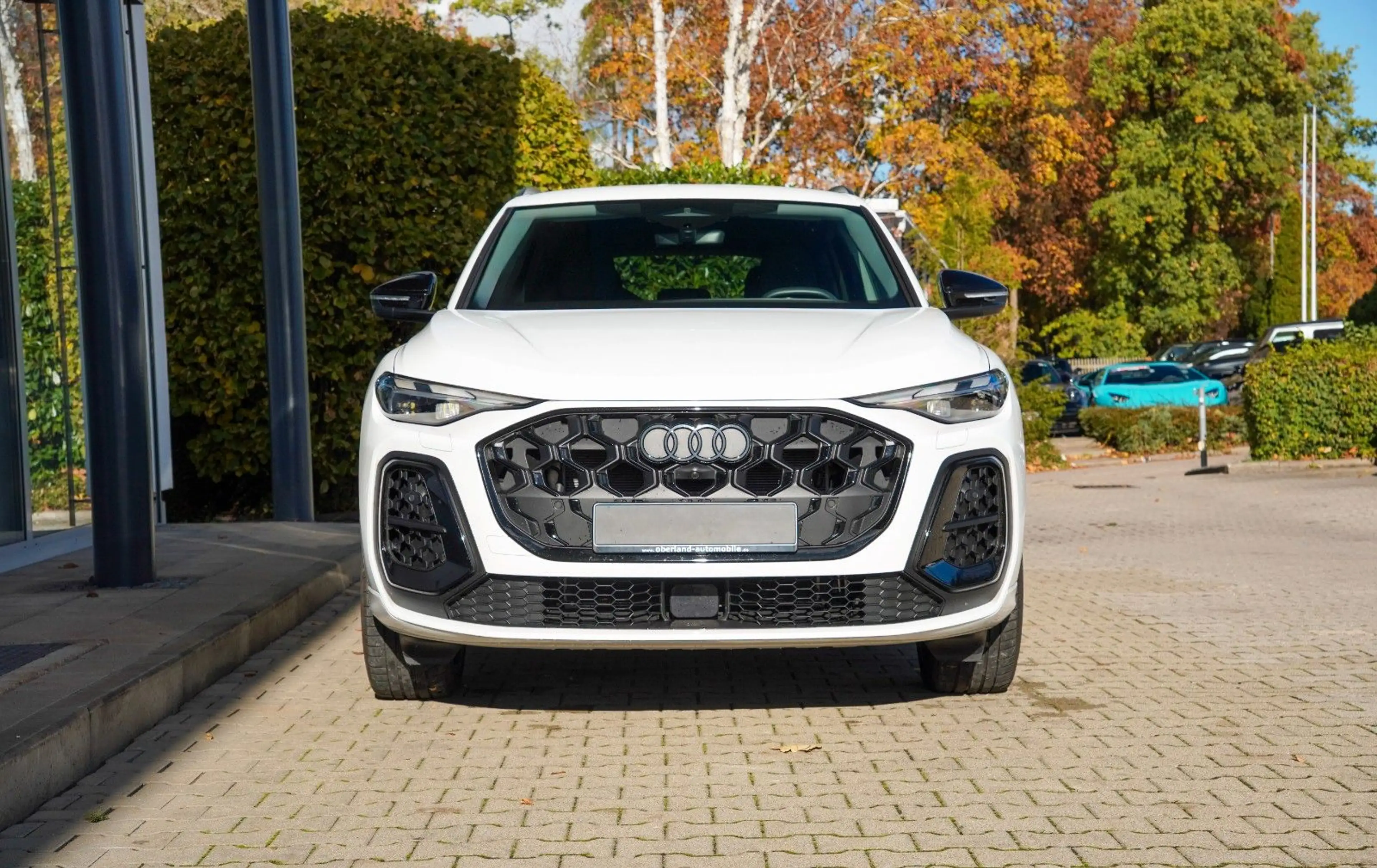 Audi Q5 / S-LINE / NAVI / PARKASSISTENT PLUS / LED — photo 2