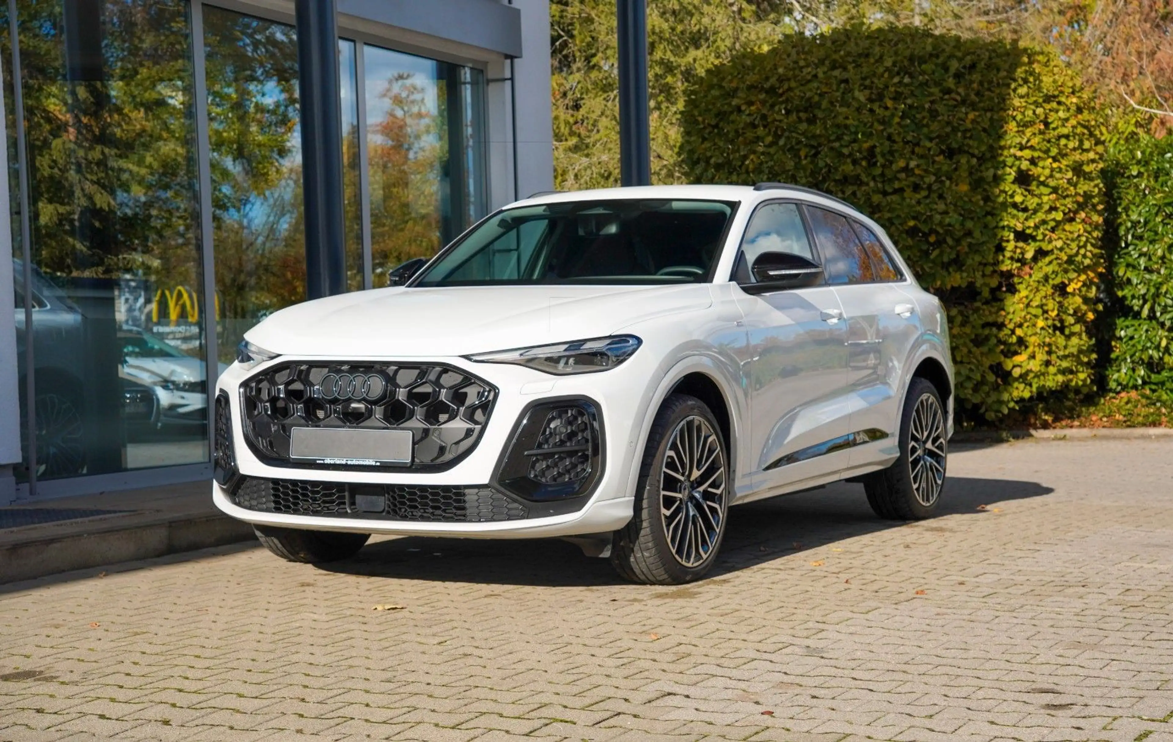 Audi Q5 / S-LINE / NAVI / PARKASSISTENT PLUS / LED
