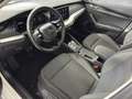 Skoda Octavia Ambition TDI DSG Weiß - thumbnail 6