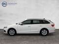 Skoda Octavia Ambition TDI DSG Weiß - thumbnail 3