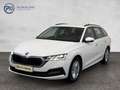 Skoda Octavia Ambition TDI DSG Weiß - thumbnail 1