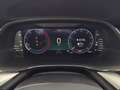 Skoda Octavia Ambition TDI DSG Weiß - thumbnail 9