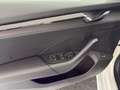 Skoda Octavia Ambition TDI DSG Weiß - thumbnail 14