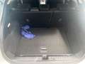 Ford Puma 1.0 EcoBoost MHEV Titanium Aut. AHK Allw. Grau - thumbnail 11