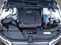 Audi A4 2.0 TDI S line Sportpaket plus Avant+Pano+Led White - thumbnail 20