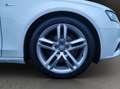 Audi A4 2.0 TDI S line Sportpaket plus Avant+Pano+Led White - thumbnail 22