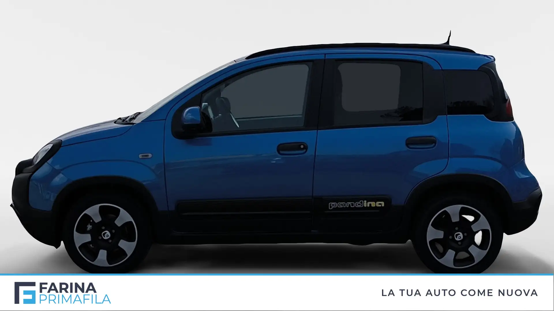 Fiat Panda 1.0 FireFly S&S Hybrid Pandina Blu/Azzurro - 2