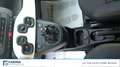 Fiat Panda 1.0 FireFly S&S Hybrid Pandina Blu/Azzurro - thumbnail 20