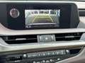 Lexus ES 300 300h Luxury Line Grijs - thumbnail 25