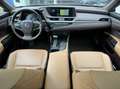 Lexus ES 300 300h Luxury Line Grey - thumbnail 13